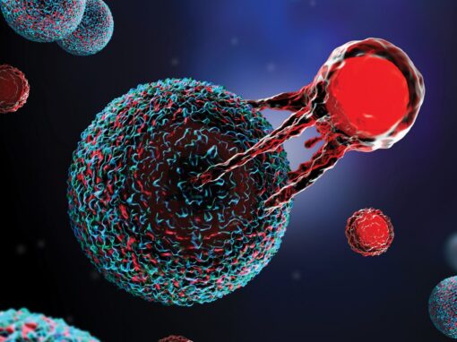 mRNA vaccine against malaria tailored for liver-resident memory T cells mRNA vaccine against malaria tailored for liver-resident memory T cells